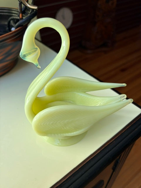 Yellow Swan