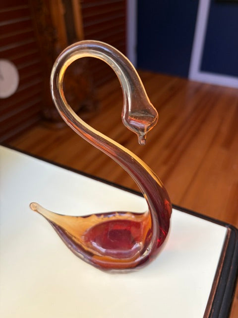 Brown Swan