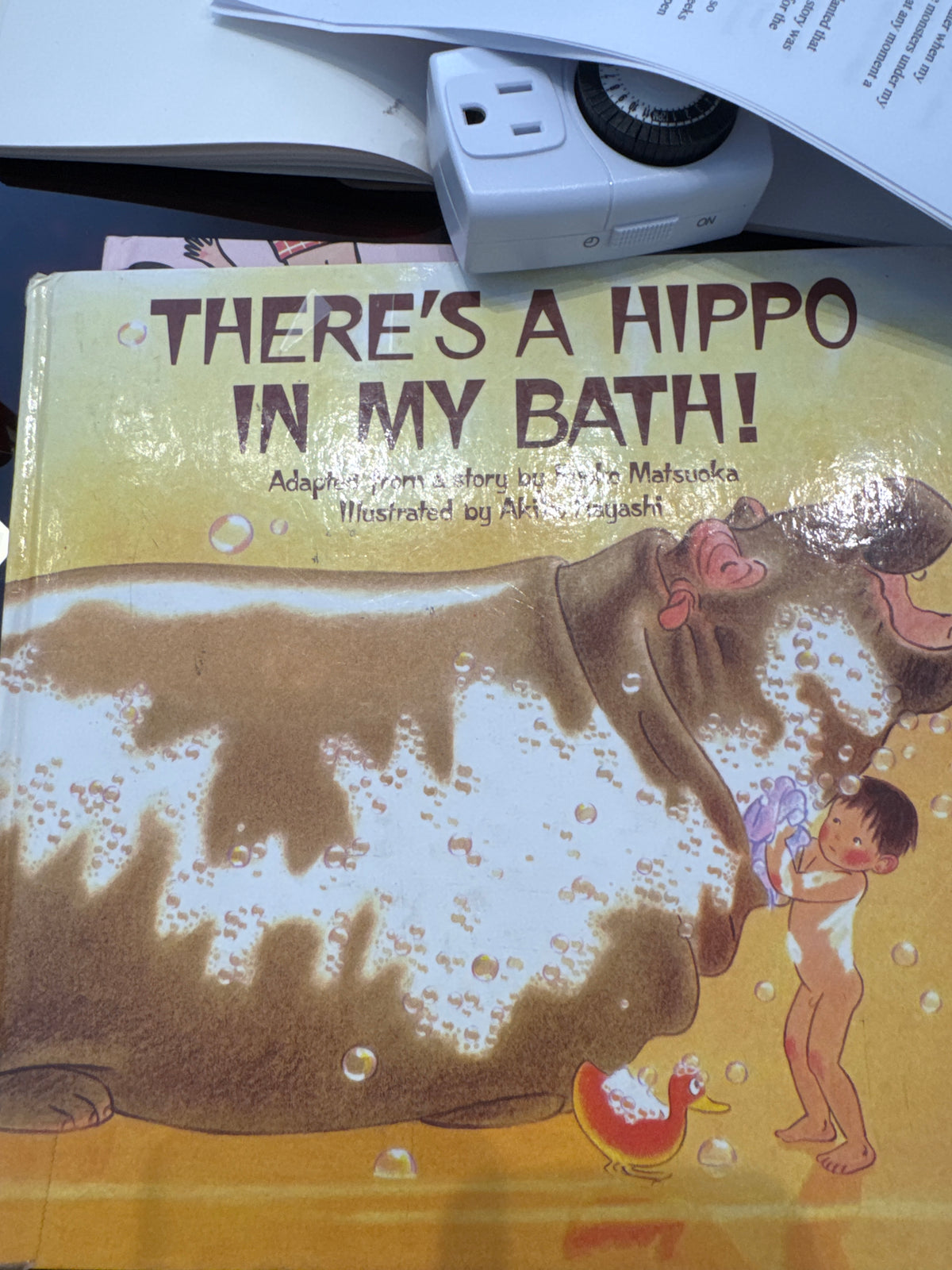 There's a Hippo in My Bath!
