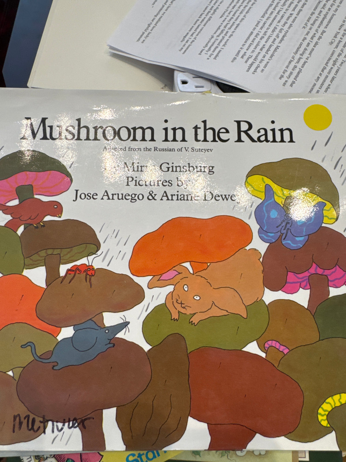 Mushroom in the Rain
